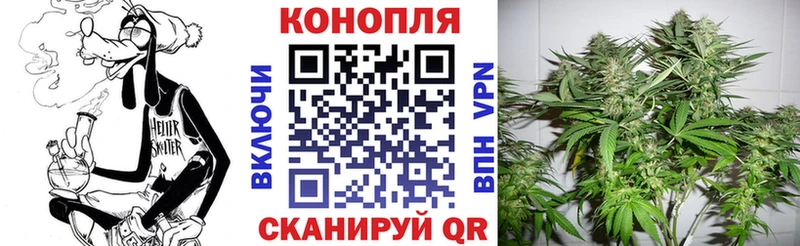 Бошки марихуана Amnesia  ОМГ ОМГ сайт  Александровск  где продают наркотики 
